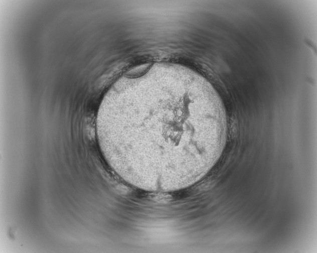 X0000099290719200805301112