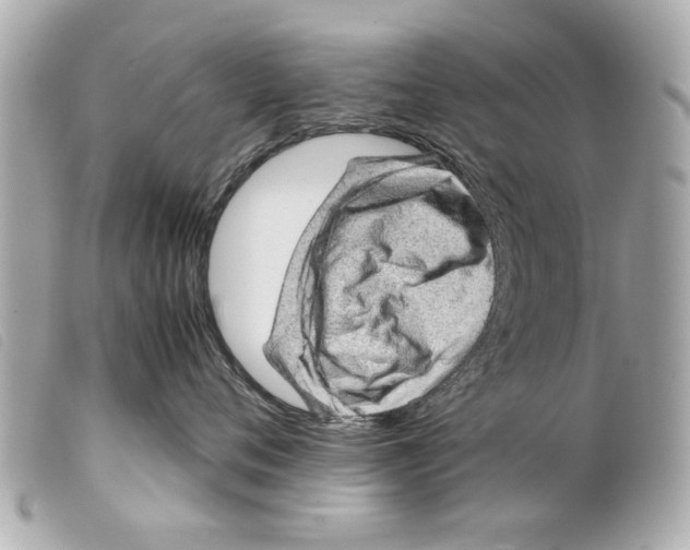 X0000099290720200805301112