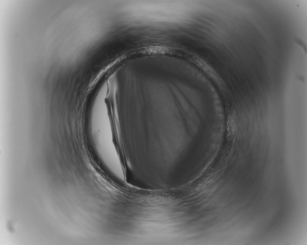 X0000099290722200805301111