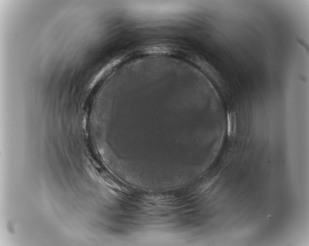 X0000099290723200805301111