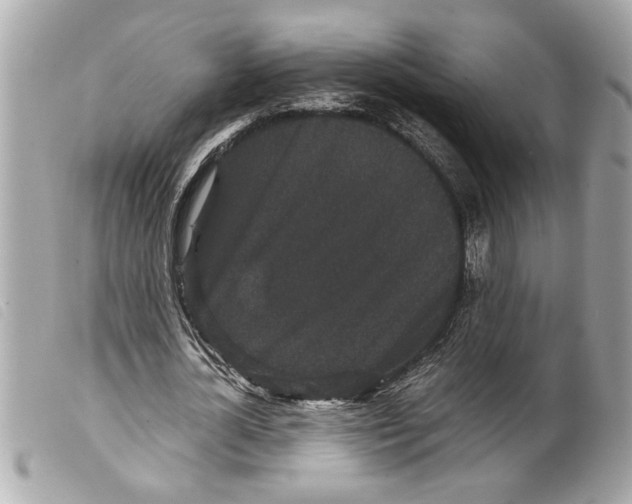 X0000099290724200805301111