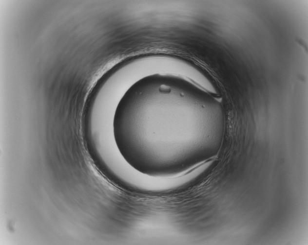 X0000099290726200805301111