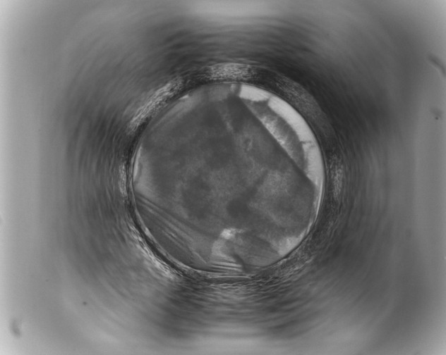 X0000099290729200805301111