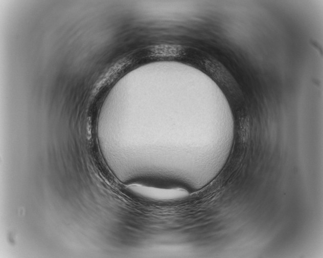 X0000099290731200805301111