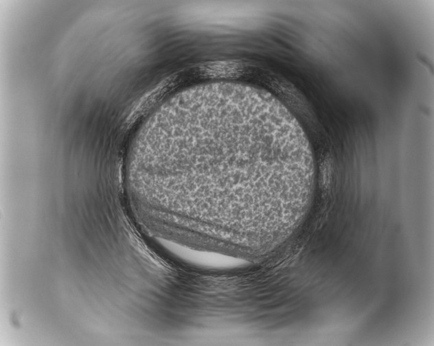 X0000099290733200805301111