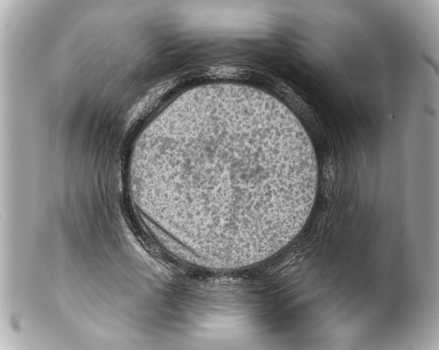 X0000099290734200805301111