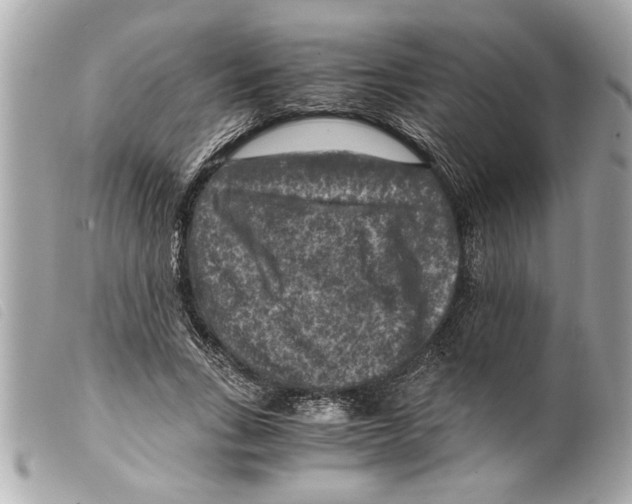 X0000099290735200805301111