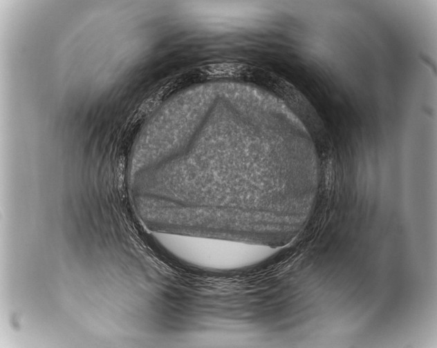 X0000099290737200805301111