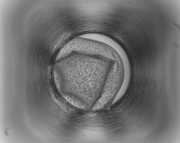X0000099290738200805301111