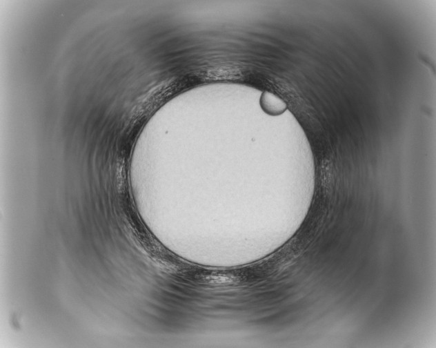 X0000099290741200805301111