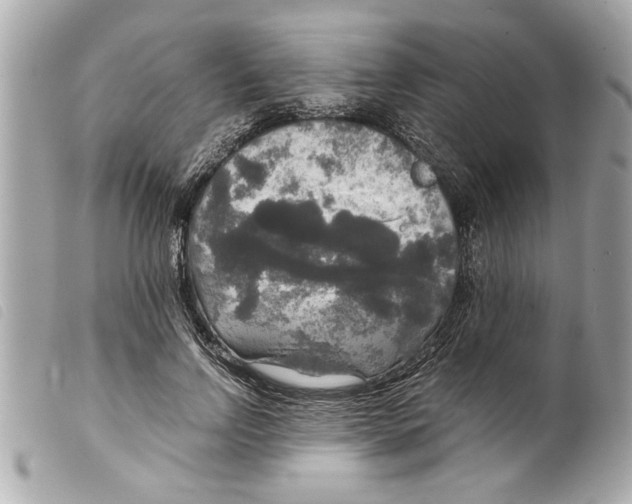 X0000099290742200805301111