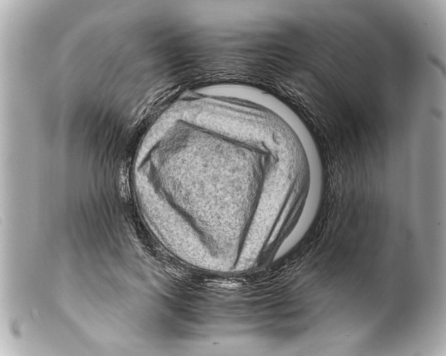 X0000099290743200805301111