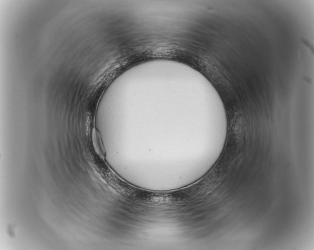 X0000099290744200805301111
