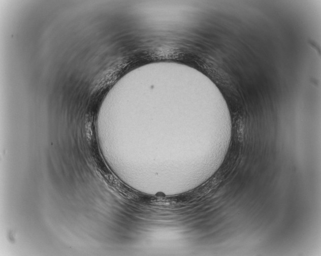 X0000099290746200805301111