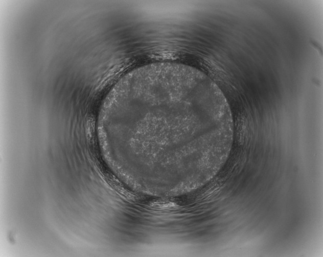 X0000099290747200805301111