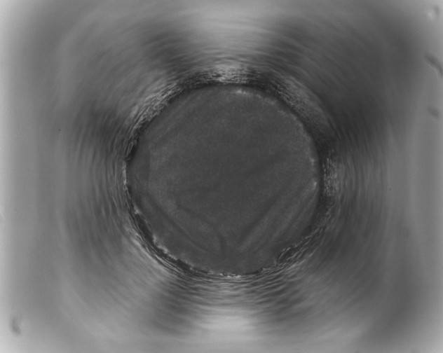 X0000099290748200805301111