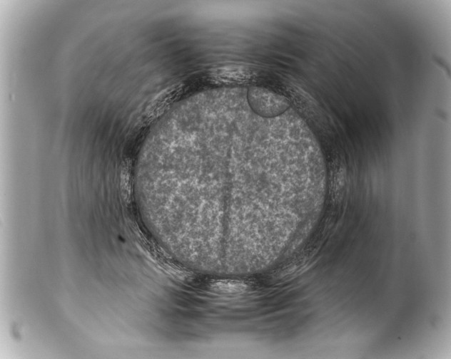 X0000099290749200805301111