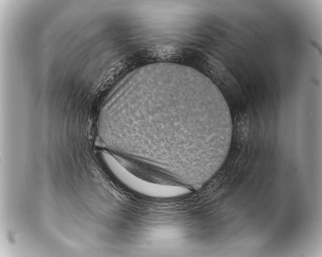 X0000099290750200805301111