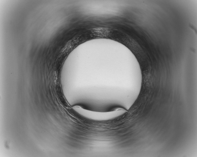 X0000099290752200805301111