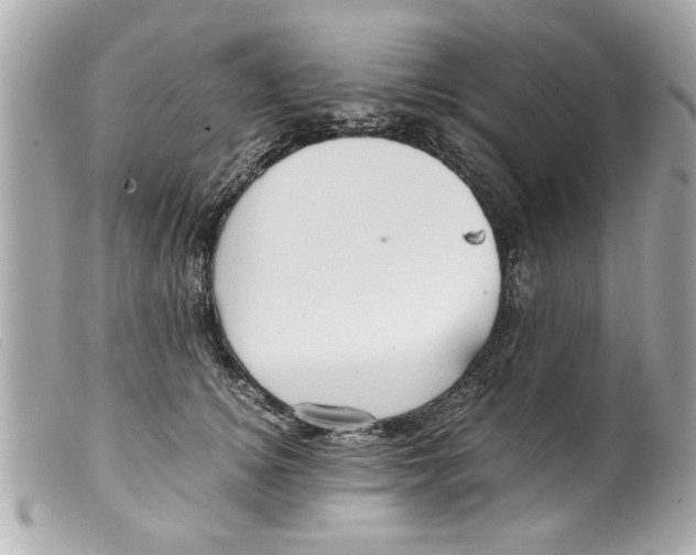 X0000099290756200805301111