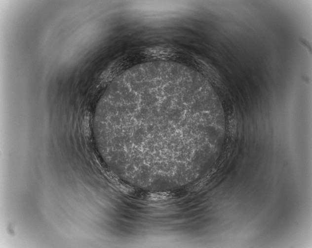 X0000099290757200805301111