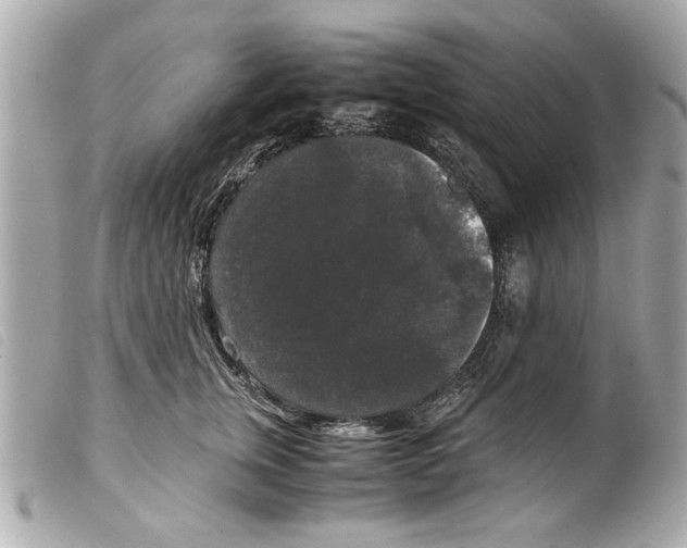 X0000099290759200805301111