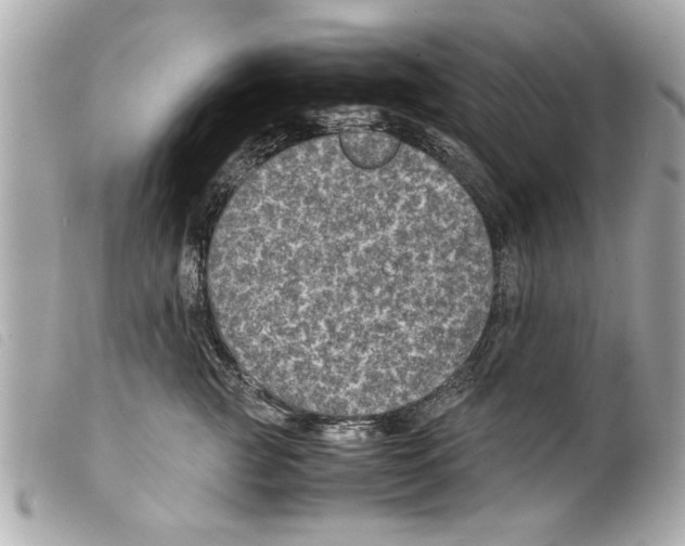 X0000099290761200805301111