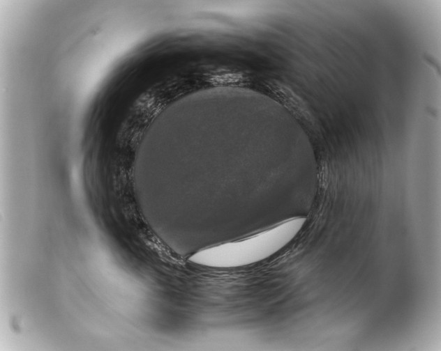X0000099290763200805301111