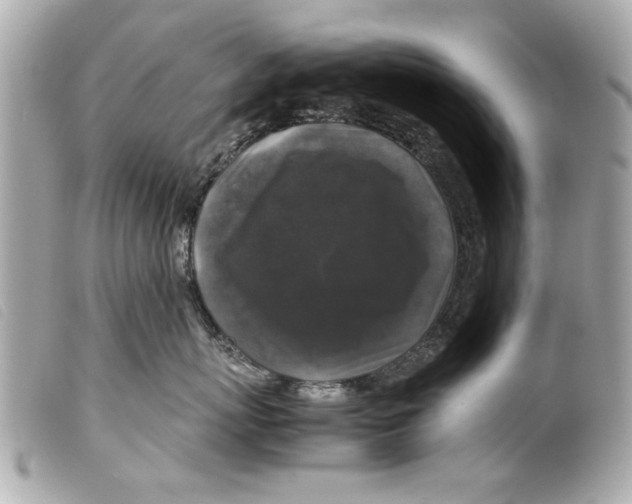 X0000099290767200805301111