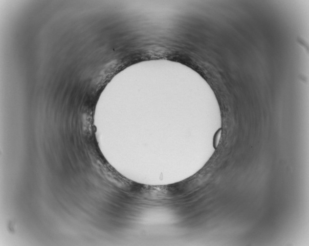 X0000099290768200805301112