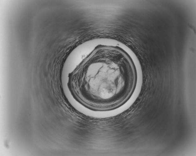 X0000099290769200805301111