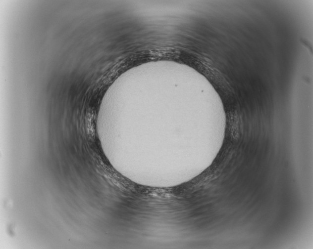 X0000099290770200805301111