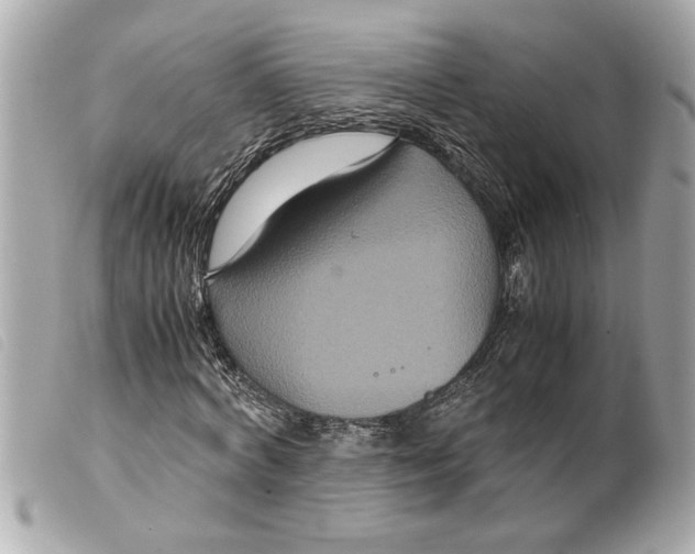 X0000099290772200805301111
