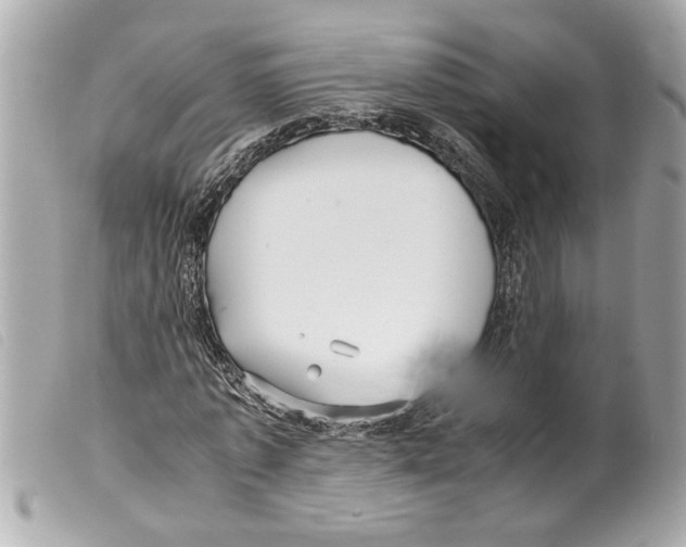X0000099290773200805301111