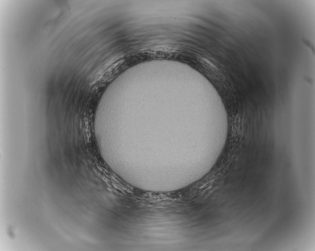 X0000099290774200805301111