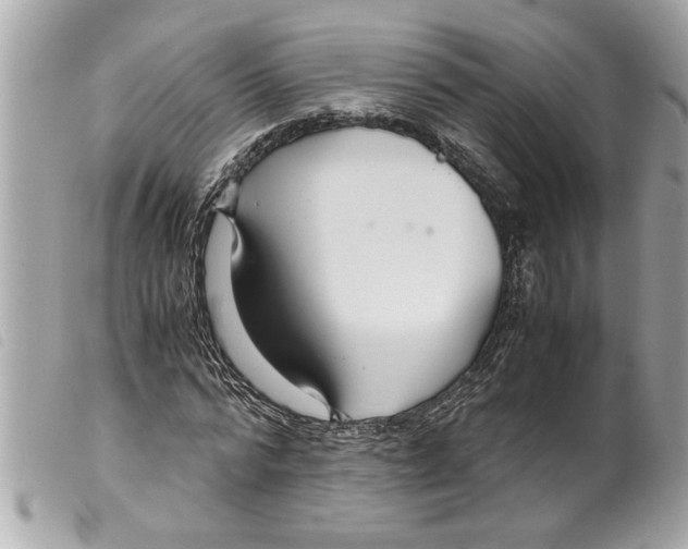 X0000099290776200805301111
