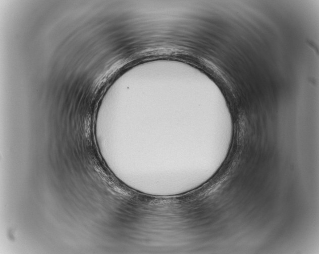 X0000099290778200805301111