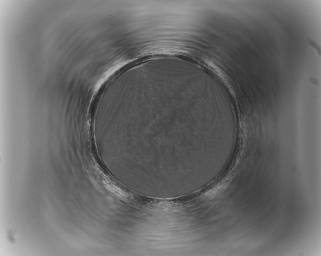 X0000099290779200805301111