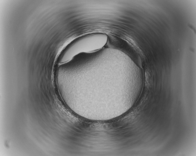 X0000099290780200805301111