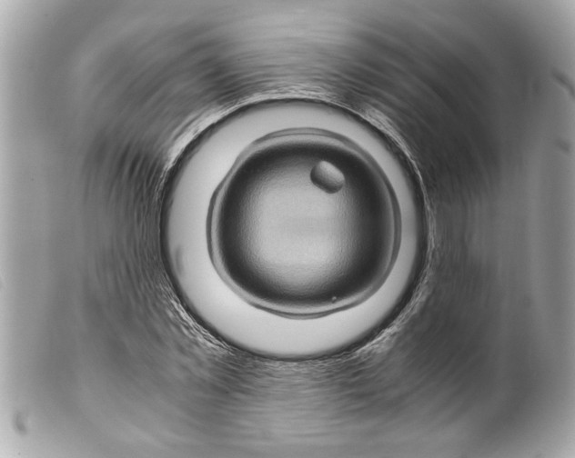 X0000099290781200805301111