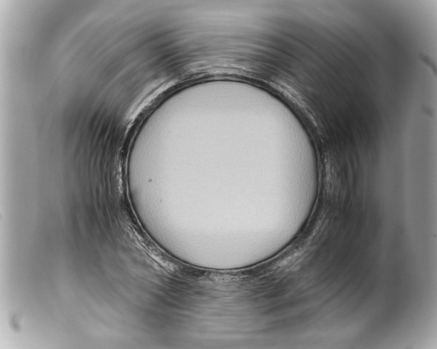 X0000099290782200805301111
