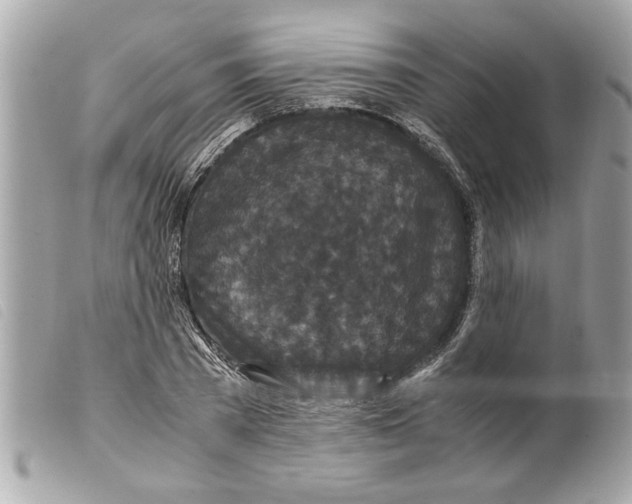 X0000099290785200805301111