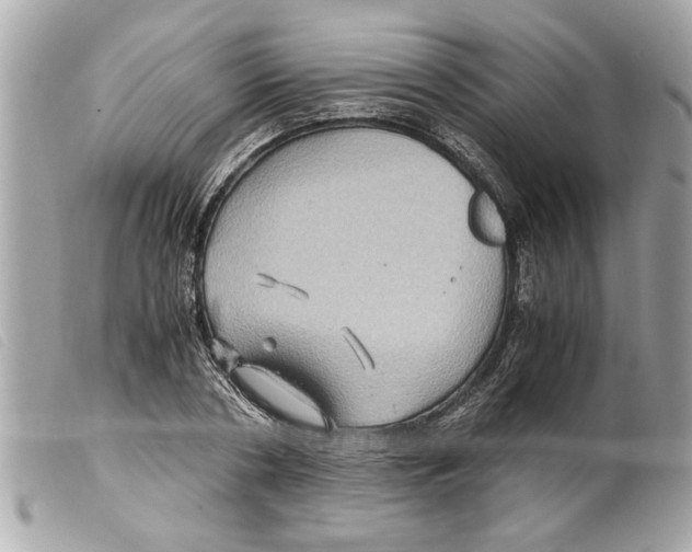 X0000099290786200805301111