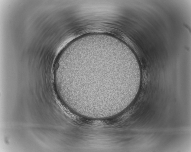 X0000099290787200805301111
