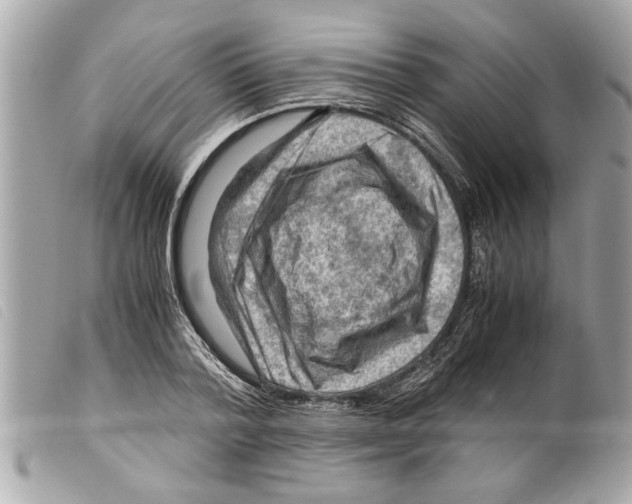 X0000099290788200805301111
