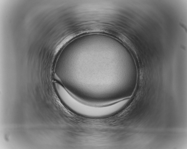 X0000099290789200805301110
