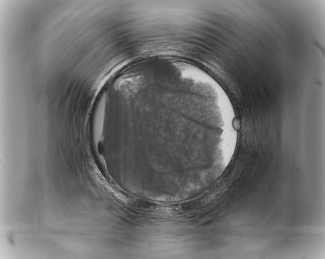 X0000099290790200805301110