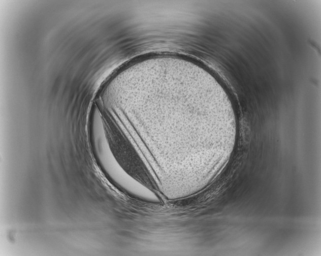 X0000099290791200805301110