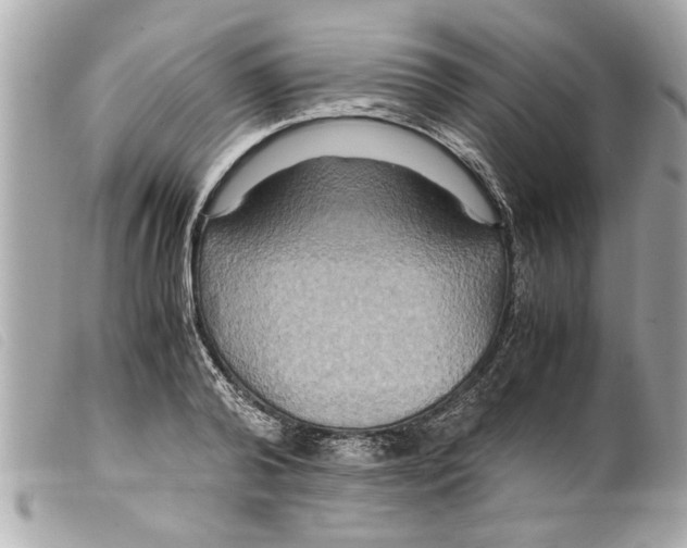 X0000099290792200805301110