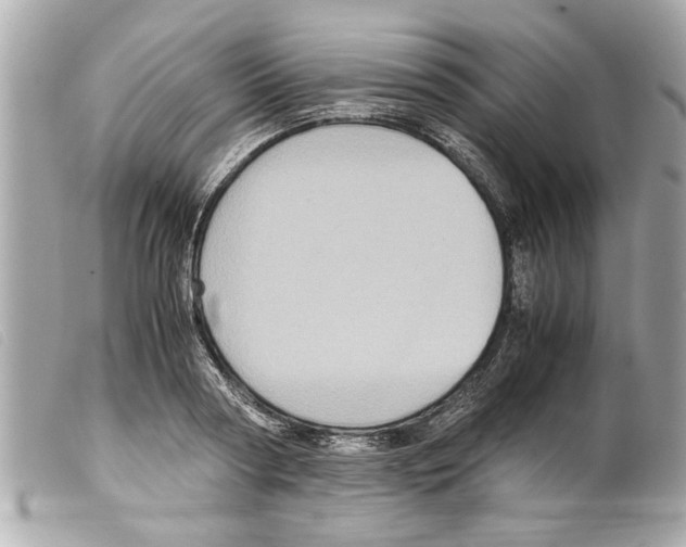 X0000099290794200805301110